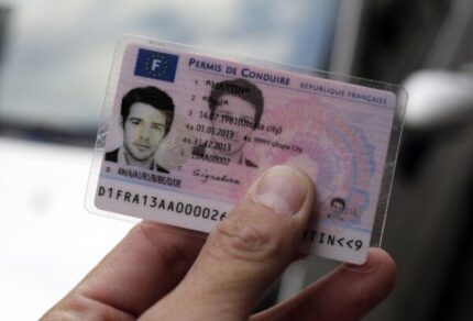 Buy Fake France Driver License